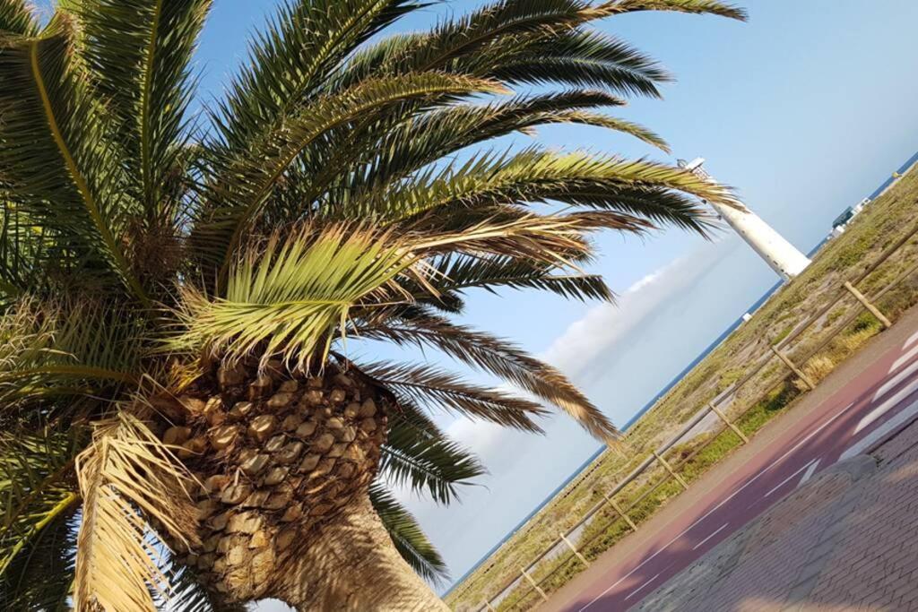 Front Beach Jandia Apartment Morro Jable Zewnętrze zdjęcie